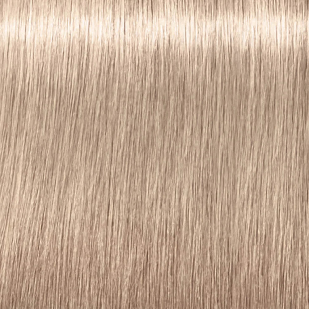 Schwarzkopf Professional Igora Royal Highlifts Permanent Hair Colour - 12-19 Special Blonde Cendre Violet - 60ml