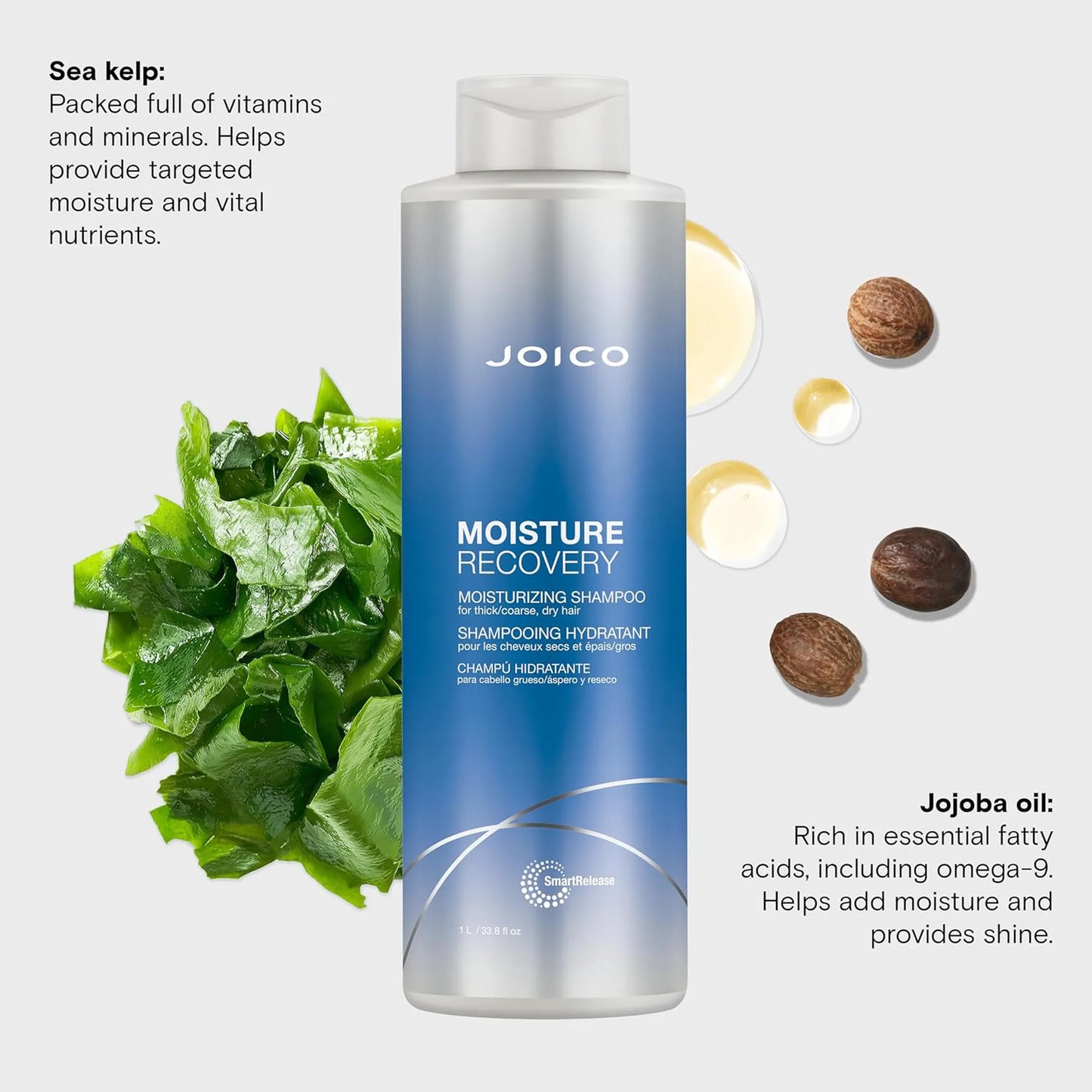 Joico Moisture Recovery Shampoo 1L