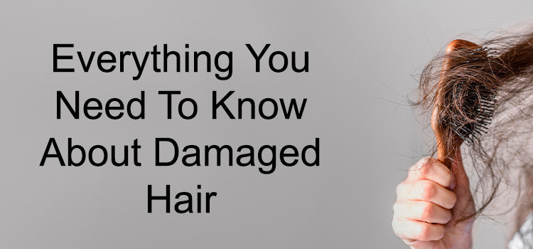 Damaged Hair - Everything You Need To Know!