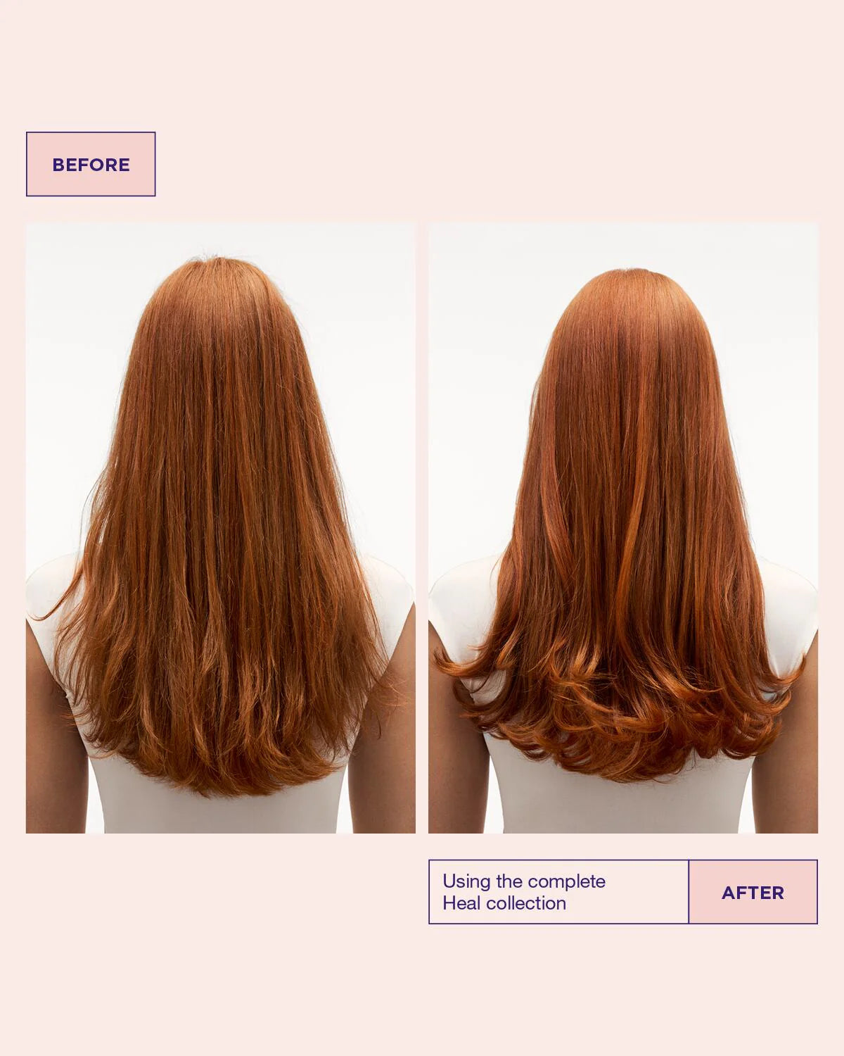 Maria Nila Head & Hair Heal Shampoo - 350ml