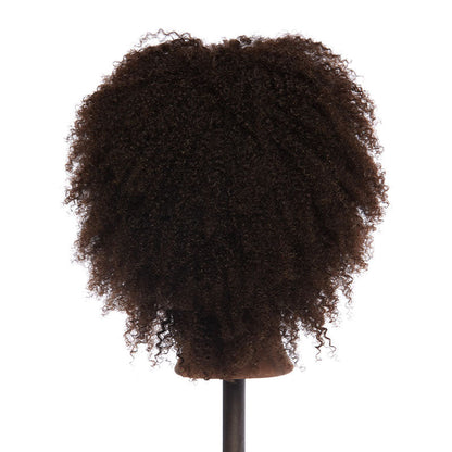 Pivot Point Cameron Training Head