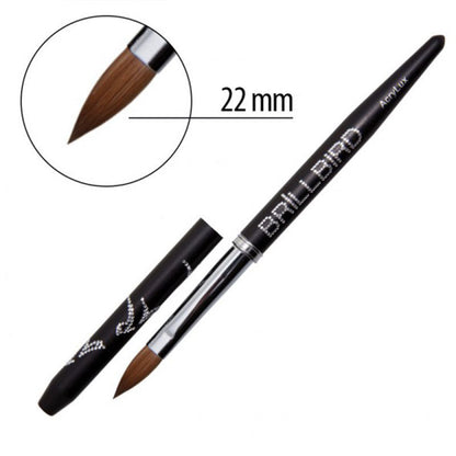 Brillbird Brush - Acrylux