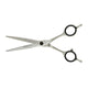 Artero Exakta 6in Scissor