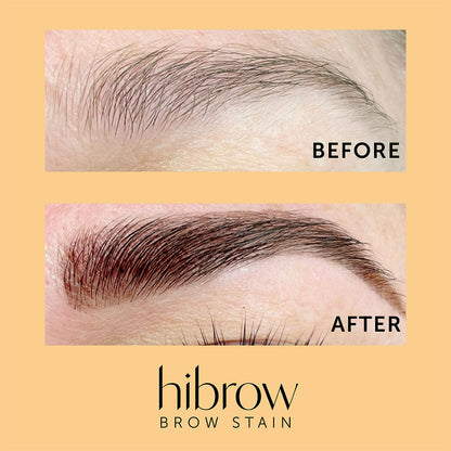 Hi Brow Stain Professional Tinting Kit Brown Black