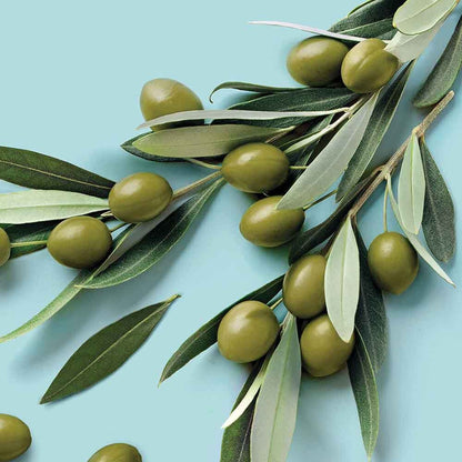 Paul Mitchell Clean Beauty Hydrate Conditioner - 50ml