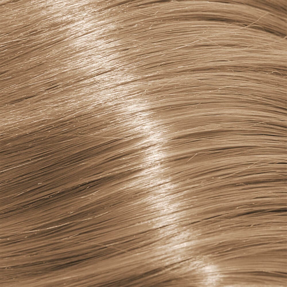 Schwarzkopf Professional Igora Royal Absolutes Permanent Hair Colour - 8-01 - 60ml