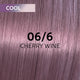 Wella Professionals Shinefinity Zero Lift Glaze Semi-Permanent HairColour - 06/6 Cool Cherry Wine - 60ml Swatch