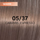 Wella Professionals Shinefinity Zero Lift Glaze Semi-Permanent HairColour - 05/37 Warm Caramel Espresso - 60ml Swatch
