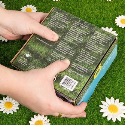 Framar Whoopsie Daisy Pop-Up Hair Foil Sheets, 5x11", Pack of 500