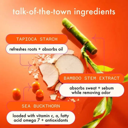 Amika Perk Up Ultra Oil Control Dry Shampoo Ingredients
