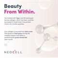 NeoCell Beauty Collagen Infusion Pink Lemonade Powder - 200g