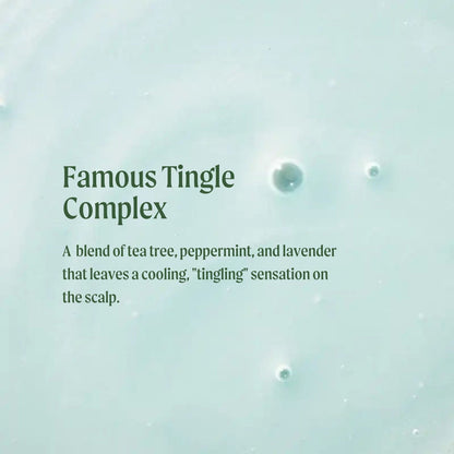 Paul Mitchell Tea Tree Special Shampoo 500ml