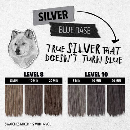 Pulp Riot High-Speed Toner - Silver - 90ml